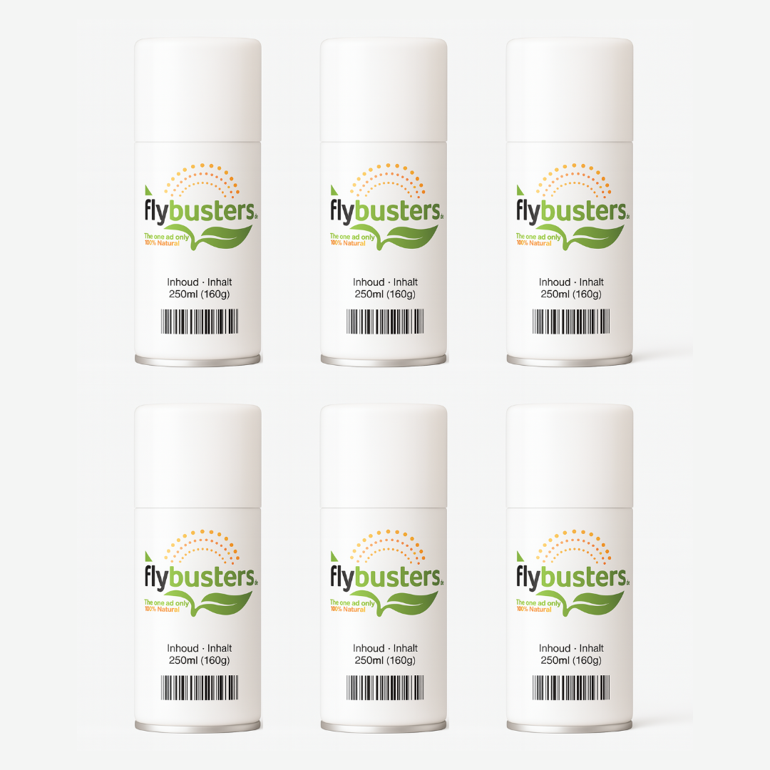 6st Flybusters Refill
